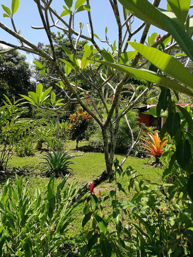 Hotel Secret Garden Cahuita Exterior foto